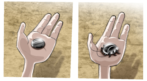 the mysterious cargo